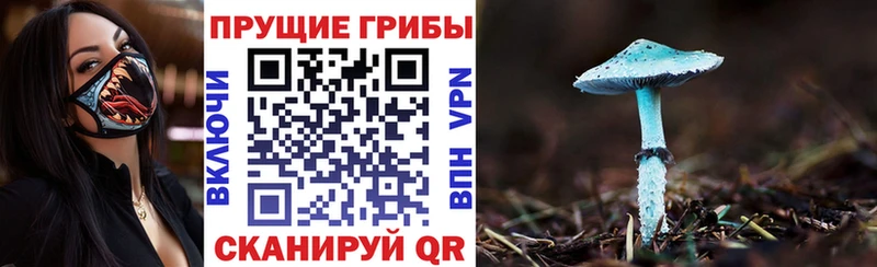 Купить где  Козьмодемьянск  Псилоцибиновые грибы Magic Shrooms 